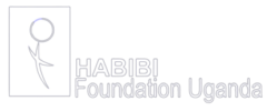 Habibi Foundation